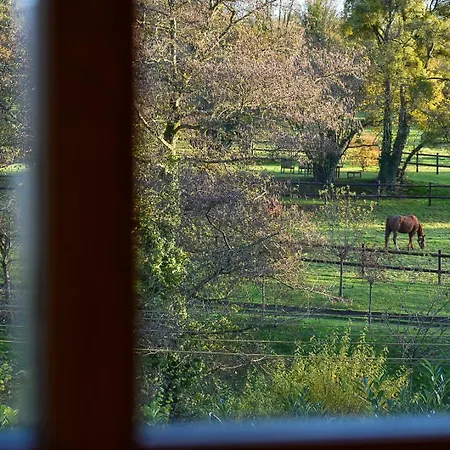 Le Pressoir Et Ses Ecuries - 19km De Deauville
